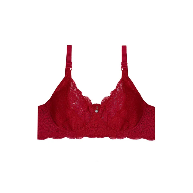 سوتین زنانه فنردار کاپ D طرح دانتل شیک