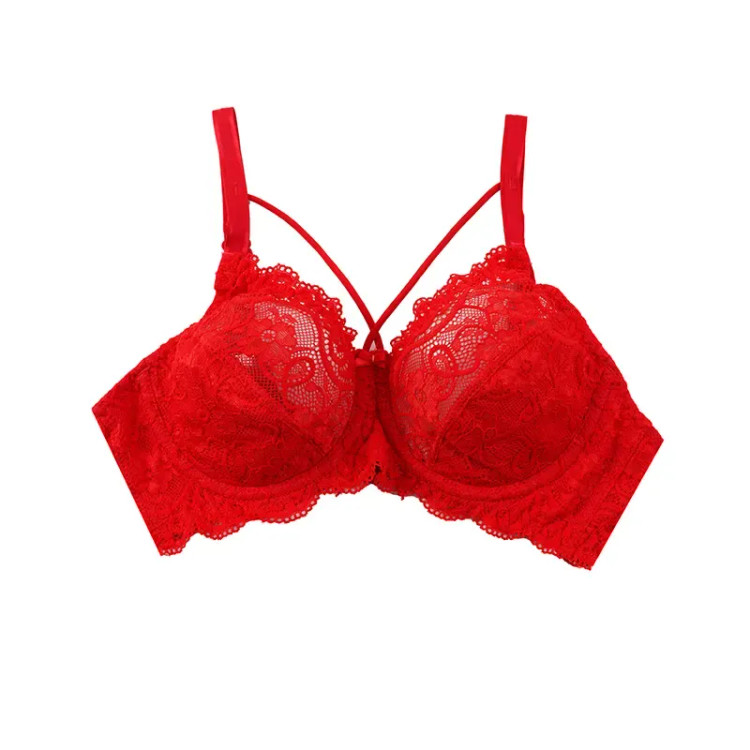 سوتین فنردار و هارنس دار گیپور کاپ B زنانه - شیک و زیبا